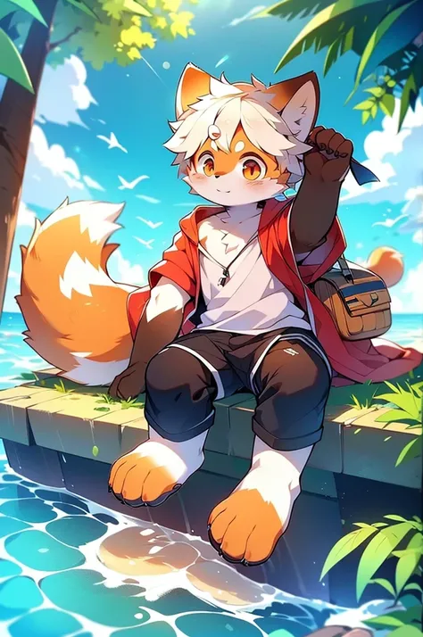 Male Red Panda, Ocean, Appeared wearing a ！One in heat, Sitting,空を飛ぶ，青い光