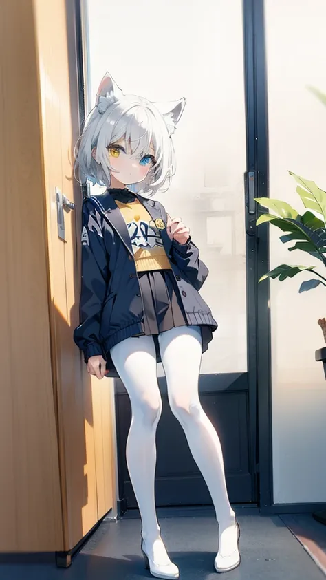 white hair，cat ear，heterochromia（left blue right yellow），small size，campus，white pantyhose