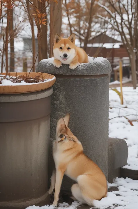 a Shiba Inu dog, adorned with a warm, orange scarf, sitting amidst a snowy environment. The dog appears to be enjoying the snowfall, with its eyes closed and a content expression on its face. Surrounding the dog are various objects, including a pot with a ...