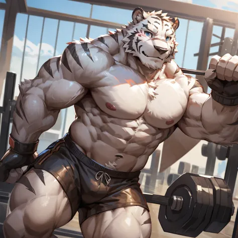 bynamic angle,depth of field, motion blur, absurdres,looking at viewer, (best quality), (masterpiece), (ultra detailed),(detailed eyes),sharp focus,japanese anime,manga,anthro male white tiger,(muscular),big fellow,huge body,((shirtless)), ((black gym shor...