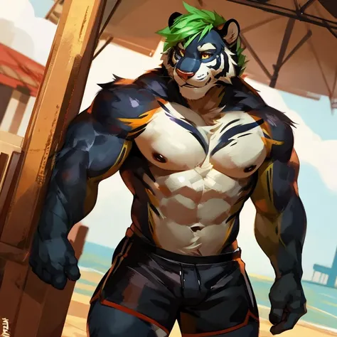 Medium muscular, black tiger, shirtless, in black shorts, Amber eyes, bluish-green hair, bluish-black fur, cream-white fur, By mystikfox61