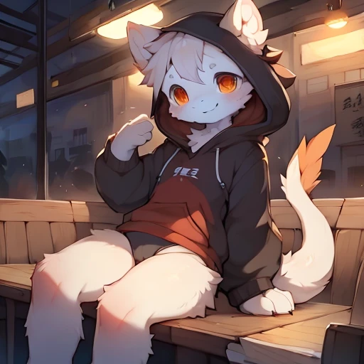 nj5furry, Dragon, Sitting, Hoodie, restaurant, female, cheerfulness, White fur, White body,，by_Hioshiru:1.2), (by_Ancesra:0.6), (by_Kekitopu:0.6), (by_kikunyi:0.6), (by_Syuro:1.2), (by_Doxy:0.6), (by_youjomodoki:0.6), by_dacad, (by_reysi:1.2), by_zinfyu, b...