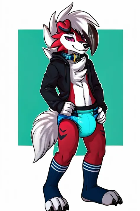  A dark purple Midnight femboy lycanroc wearing a black sweatshirt and a blue diaper and white socks with black stripes and a gold dog collar around his neck and with bracelets on his arms 