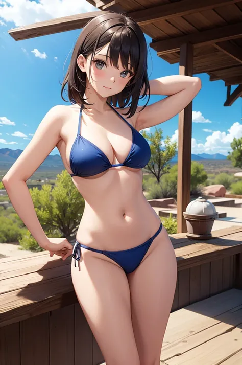 Chimayo bikini