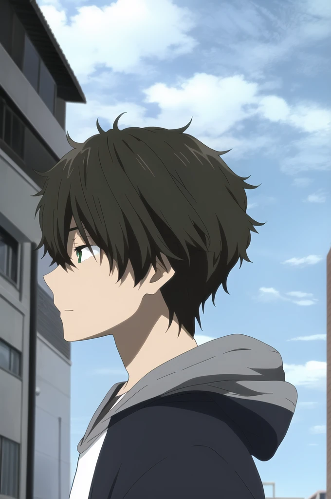 oreki houtarou, 1boy, male focus, solo, brown hair, green eyes, profile, upper body, white hoodie from side, clouds, outdoors,