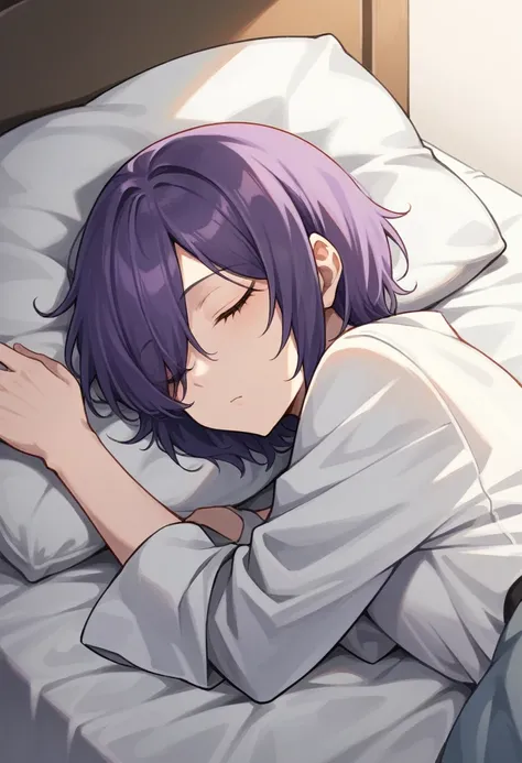 score_9, score_8_up, score_7_up, score_6_up, score_5_up, score_4_up, BREAK source_anime, one anime girl, blue eyes, dark purple hair, medium hair, hair covers one eye, dark clothes, sleeping, both eyes closed