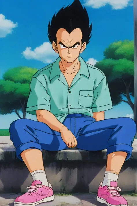 source_anime, score_9, score_8_up, score_7_up, anime screencap,8k, absurd res,
vegeta, solo, looking at viewer, shirt, black hair, 1boy, sitting, closed mouth, full body, male focus, outdoors, sky, shoes, green footwear, day, collared shirt, pants, cloud, ...