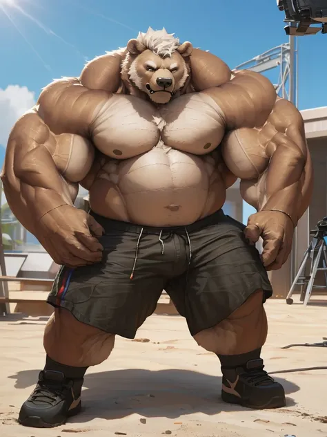 full shots, ground level camera shot, (best quality,4k,8k,highres,masterpiece:1.2),ultra-detailed,(realistic,photorealistic,photo-realistic:1.37),((massive muscular)) ((huge Muscular)) grizzly bear daddy standing in photo studio, simple background,  shorts...