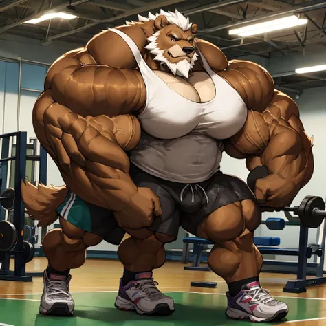 Thick Grizzly Bear in gymnasium fitness center (wearing white gym shorts and white tank top, gym shoes)  hyper muscle, hyper muscular, hyper pecs, hyper pectoral, absurdly muscular, absurdly muscle size, gym center background, old grizzly bear, thick arm, ...