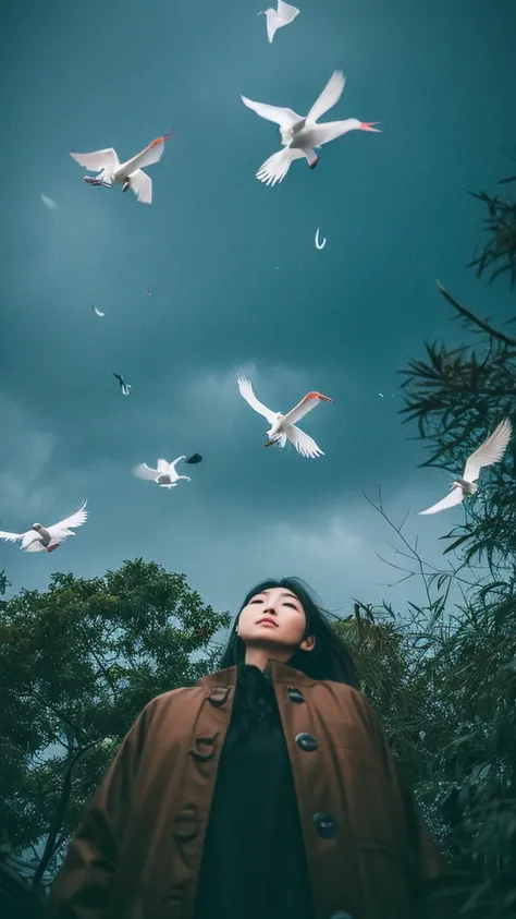 ((crane))、bird、Rainy Sky、1girl,from below