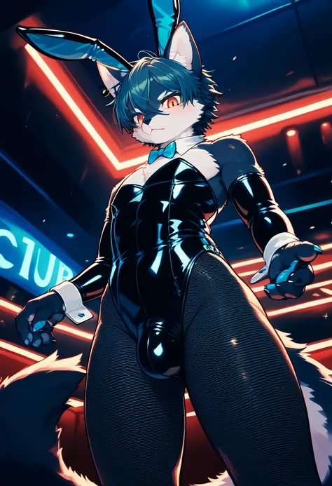 Highest quality, Highest quality, High quality illustrations, masterpiece, Ultra-high resolution, Detailed Background, club, Disco, Absurd, Perfect Anatomy, Performance, Good lighting, Shadows in the movie(kemono, Furry Personification), Rubber suit, Rubbe...