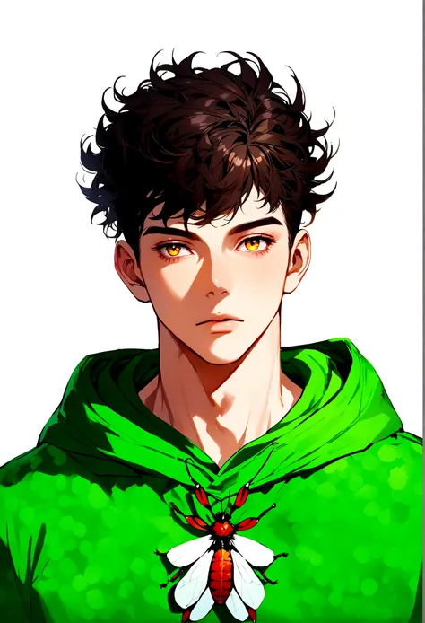 male, dark fluffy hair, green hoodie, bug theme