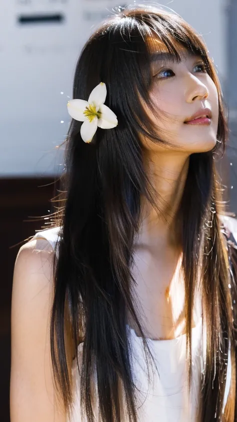 Beauty，Long hair，Black Hair，Black eyes，Look up，Ultra-clear，reality，a flower，Clean background。