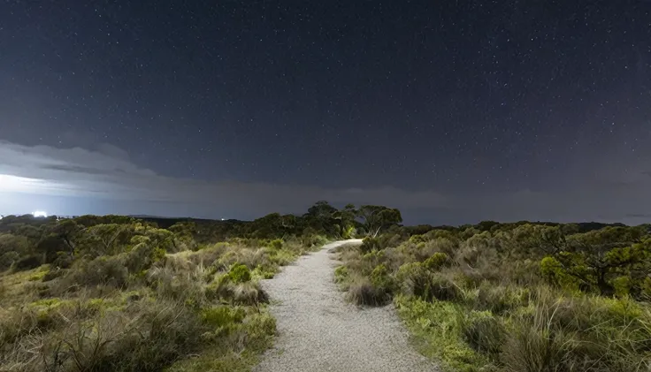 walking track, ominous night, no people in the environment