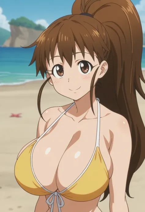 score_9, score_8_up, score_7_up, rating_explicit, anime screencap, upper body, 1girl, solo, working!!, taneshima popura, brown e...