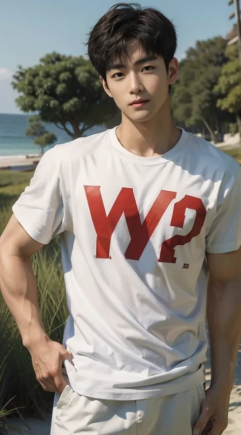 A handsome, muscular young Asian man looks at the camera. In a simple t-shirt white and red , Fieldside, grass, beach, sunlight