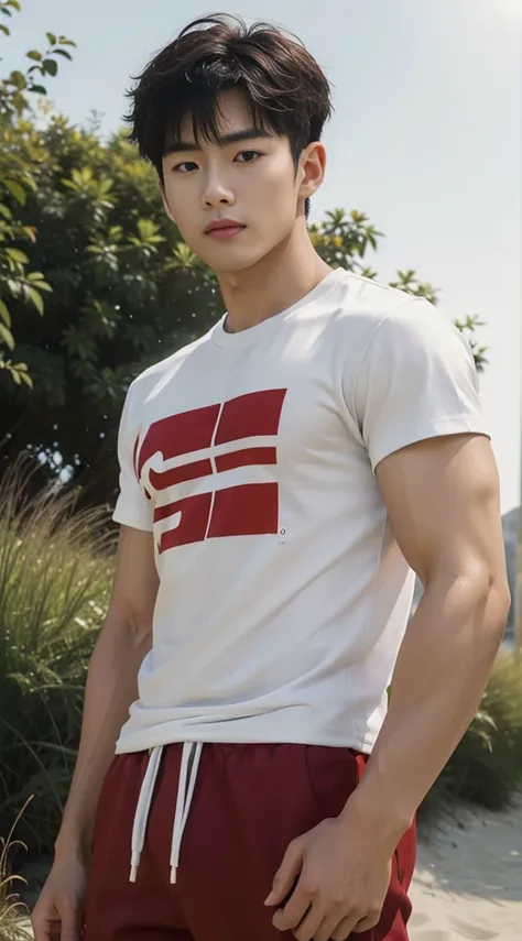 A handsome, muscular young Asian man looks at the camera. In a simple t-shirt white and red , Fieldside, grass, beach, sunlight, Carrying a camera