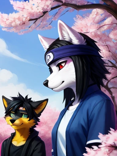 A group picture of all three in the same picture heres what they all look like, ((yellow dog Naruto headband, Naruto yellow dog, Naruto as a yellow dog anthropomorphic and one is Sasuke: a blue and white furry wolf with red eyes,black hair and a ninja head...