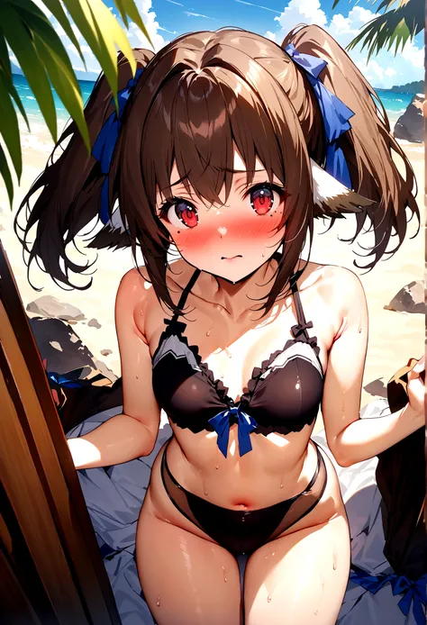 NSFW,masterpiece,Highest quality,High resolution,Super detailed,Nekone (Utawarerumono),Brown Hair、（Red Eye：1.3）、ribbon,Twin tails、ヘアribbon、Mole、目の下のMole,Small breasts,High-quality adult swimwear,beach,Palm tree,Rock Shade,Embarrassed,blush,(Seduce)