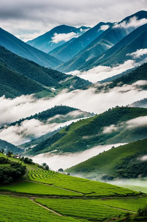 Generates a coffee field in the mountains with fog