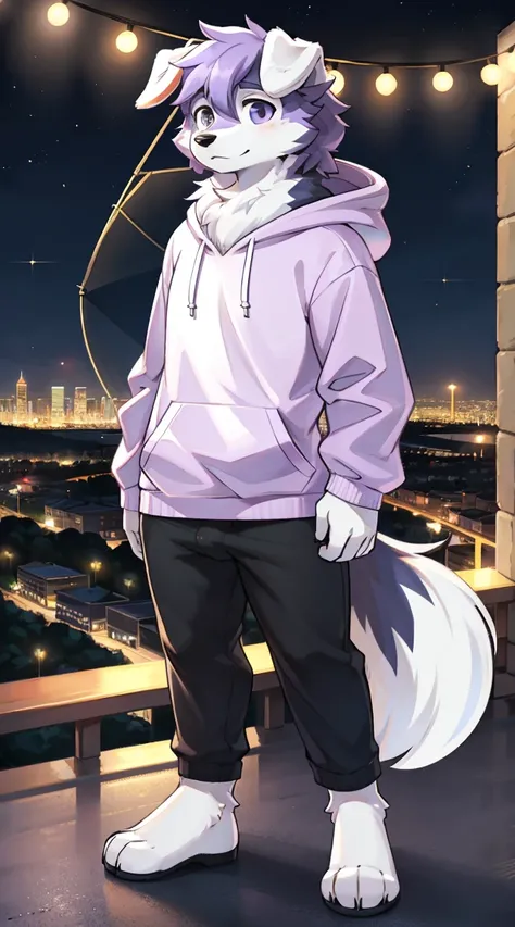 a full body approach, Anthropomorphic adult sheepdog wearing a light purple hoodie and showing large fluffy fur coming out of the neck., without pants showing the big penis, Beautiful face, posing for a photo on a hill at night with a city in the distance
