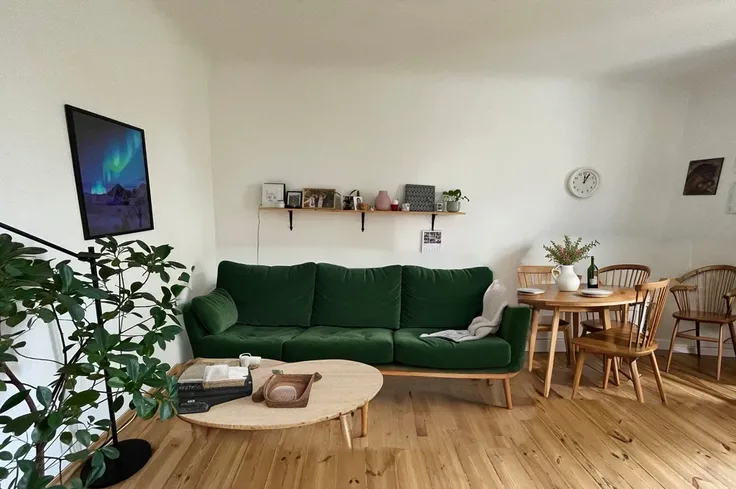 cozy geen sofa with small carpet