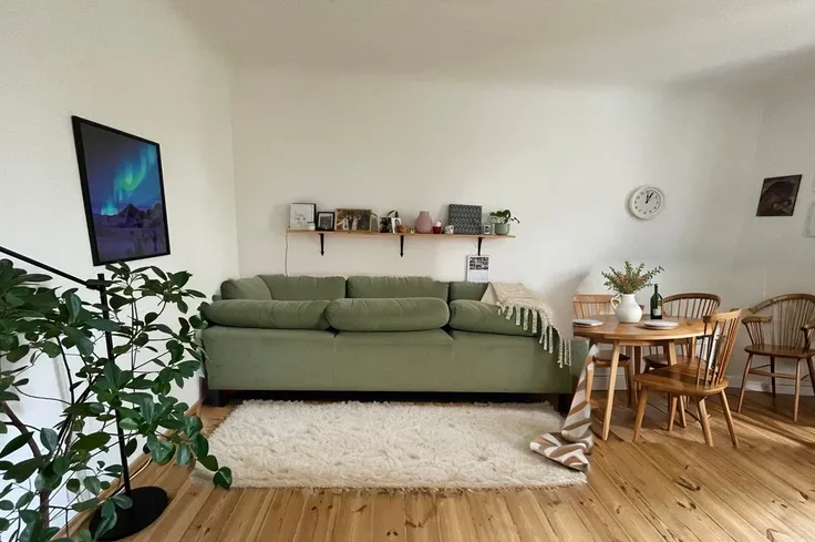 cozy geen sofa with small carpet