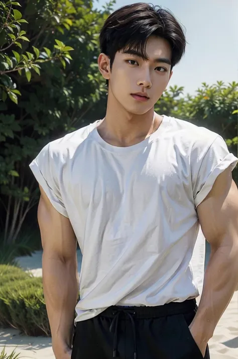 A handsome, muscular young Asian man looks at the camera. In a simple t-shirt white and red , Fieldside, grass, beach, sunlight, Carrying a camera