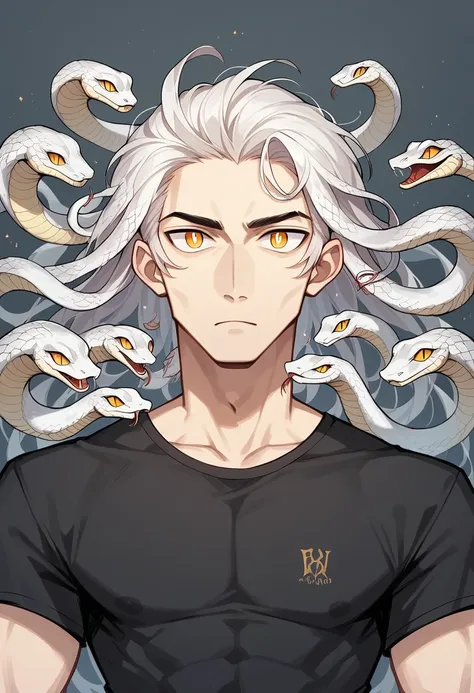 human male, black shirt, white snake hair ,yellow pupils ,((best design character)) ,