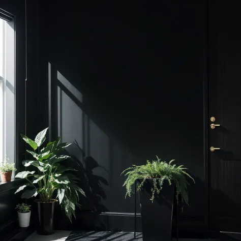 There is a black wall，There is a pot of plants on it, Lacquered glass, Smooth paneling, Vantablack Wall, apartment with Black Wall, Black Wall, empty room with Black Wall, black studio background color, Dark gray wall, Black color scheme, Black vertical sl...