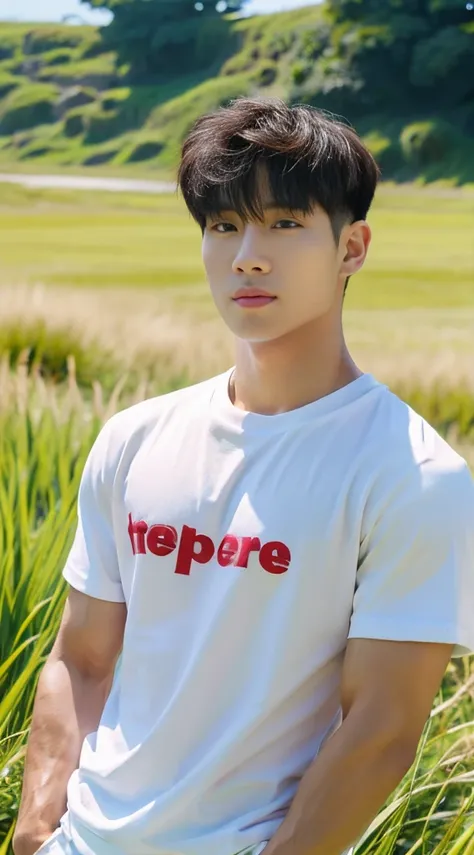 A handsome, muscular young Asian man looks at the camera. In a simple t-shirt white and red , Fieldside, grass, beach, sunlight