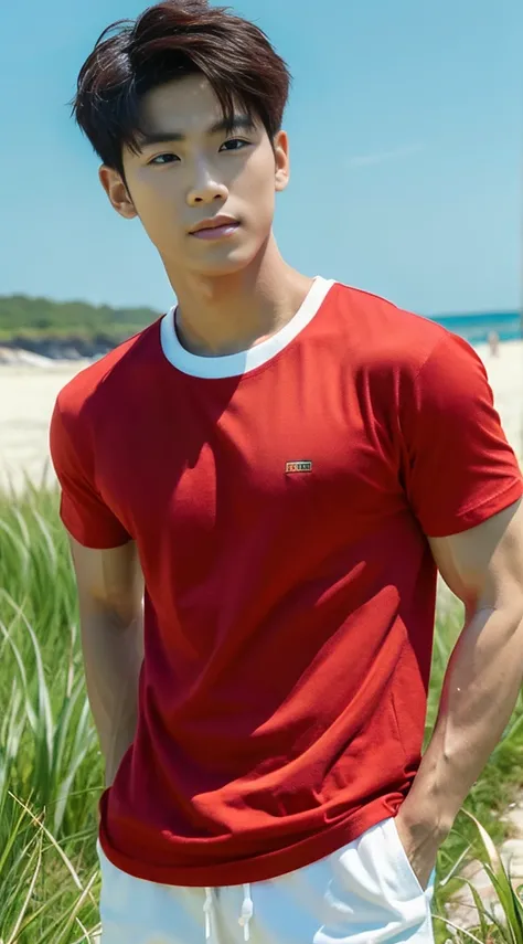 A handsome, muscular young Asian man looks at the camera. In a simple t-shirt white and red , Fieldside, grass, beach, sunlight