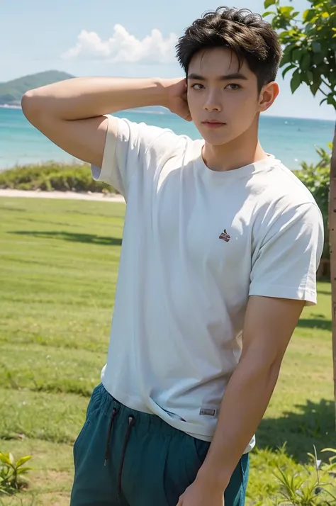 a handsome, muscular young asian man looks at the camera. in a plain white t-shirt , fieldside, grass, beach, sunlight