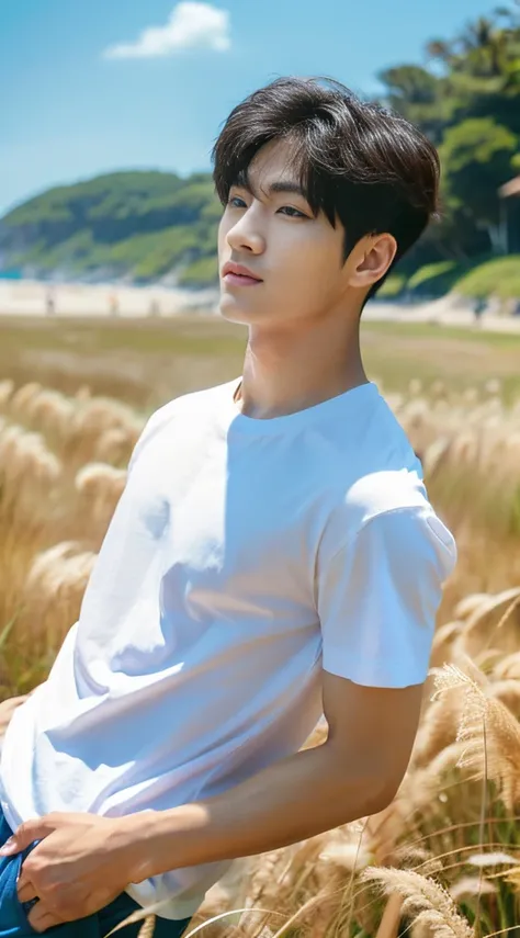 A handsome, muscular young Asian man looks at the camera. In a plain white t-shirt , Fieldside, grass, beach, sunlight