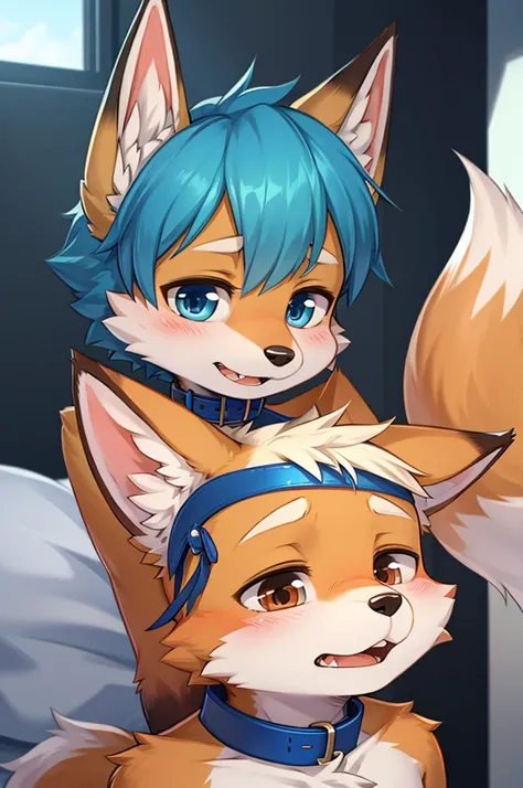 fox boy,Embarrassing face,Blue collar,Dog treatment,Pet food