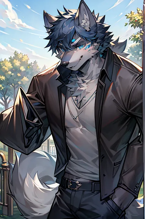 Masterpiece, Solo, Furry Gray Wolf, Gray Fur, Blue Eyes, Gray Short Hair, Medium Muscular Body, Handsome, Good Looking, Casual Shirt, Fierce, Cool Pose, Park Background.