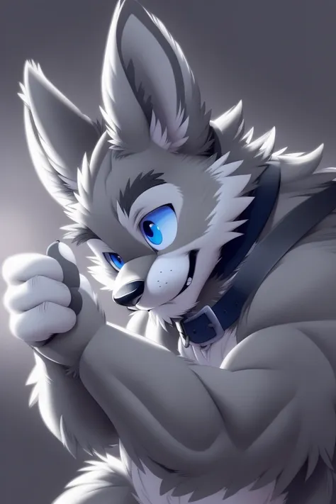 gray wolf, (full grey fur:1.5), solitary, perfect sky blue eyes, collar, (artist:takemoto arashi), look at the audience, cute fa...