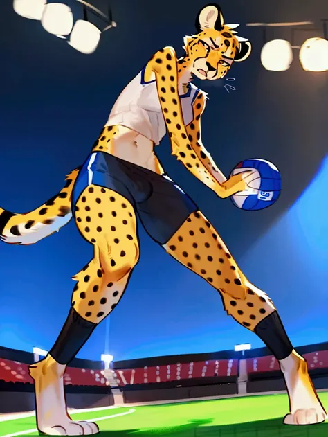 By bebebebebe, by lostgoose, by goonie-san, furry, male, cheetah, angry, frustrated, jersey, slim, sweating, arms out in front, facing camera, stadium, volleyball