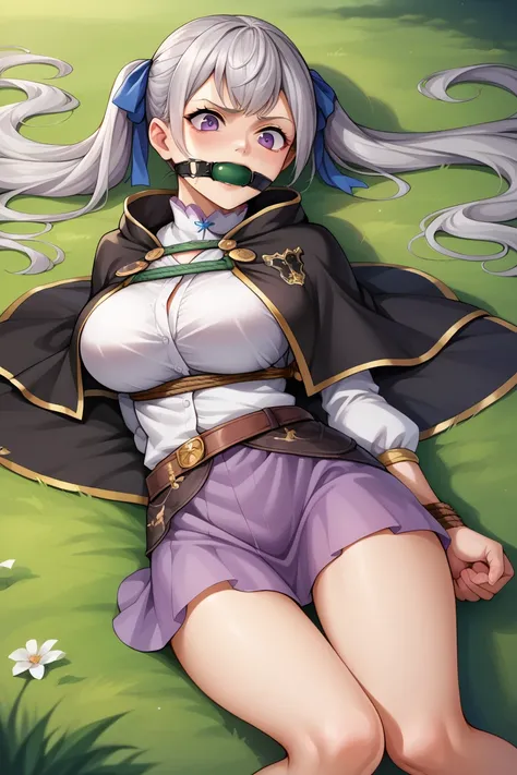 score_9, score_8_superior, score_7_superior, score_6_superior, sauce_Anime BREAK 1 Girl,  Noel Silva, Grey Hair, Purple eyes, Twin tails, Hair Ribbon, Black capelet, Green Strap, White and purple dress, Long sleeve, belt, Big Breasts, Conceit, blue sky, Fi...