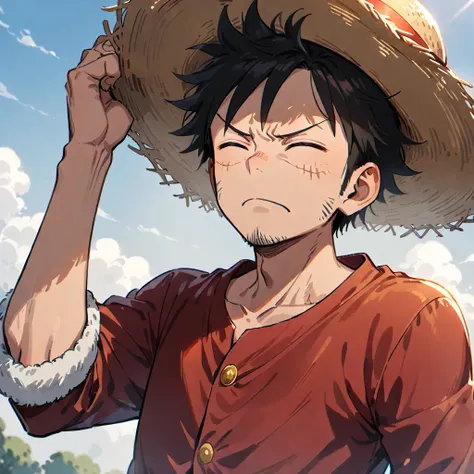 1boy, hat, male focus, solo, black hair, straw hat, facial hair, hand on headwear, closed eyes, closed mouth, monkey d. luffy, scar, sideburns, shirt, frown, ((medium quality)), ((medium quality))