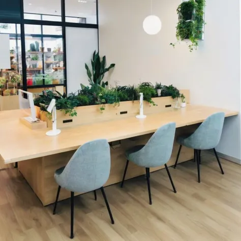 There are four chairs around a table with plants on it., Terrarium lounge area, biophilia mood, In an open workspace, Multiple Desks, A forest of plants inside a glass tube, Lush Plants Green Wall, Long table, With natural light as a background, Tables and...