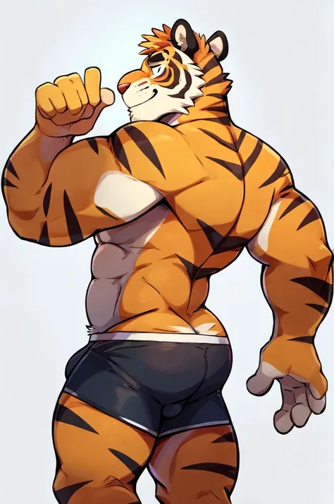 Tiger, By Haps, 1boy, abs, animal ears, bara, bulge, full body, white background, Seminude, Boxers, Character sheet Reference, Full body, backwards