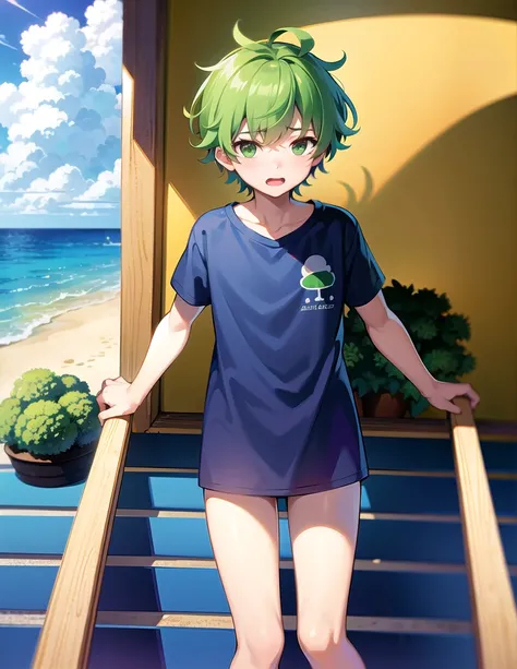 A boy having fun at the beach in summer,Wear a broccoli T-shirt,Broccoli grows all around,high resolution,Nostalgic,Innocent boys,Clothes with Hiragana on them,