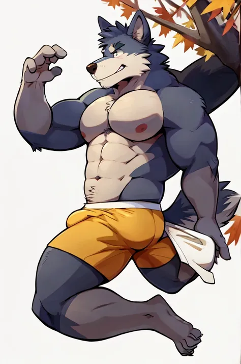 Wolf, By Haps, 1boy, abs, animal ears, bara, bulge, full body, white background, Seminude, Boxers, Fall, side, Falling, feet