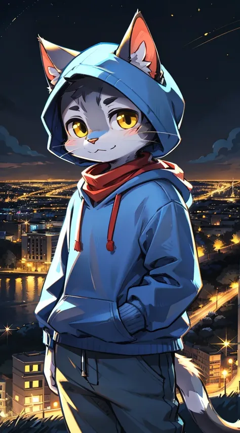 Full Body, Anthropomorphic old cat wearing a blue hoodie, Pants and a red scarf around his neck, Cute Face , Take photos on a hill at night with the city in the distance、Yellow bell on the neck