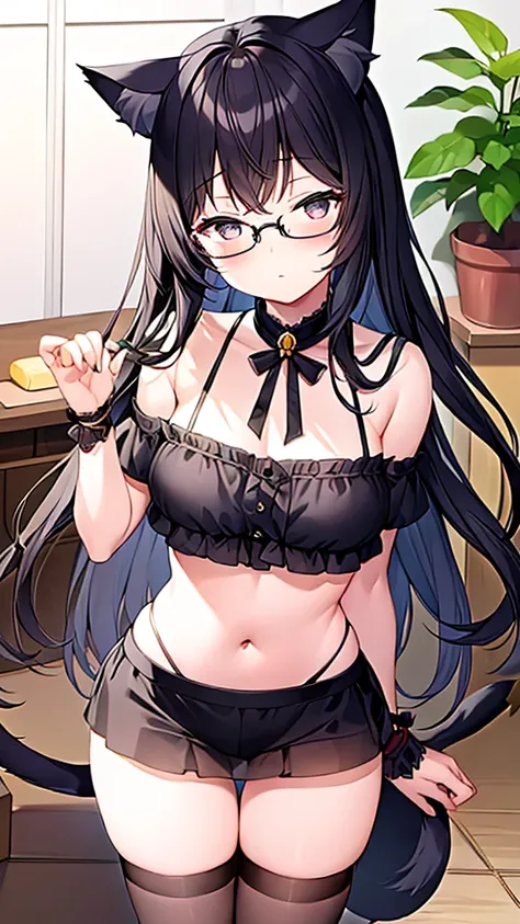 (Masterpiece), (best quality), Cat girl in her 20s, long hair, black hair, chest, gray eyes, cat ears and cat tail, round glasses,