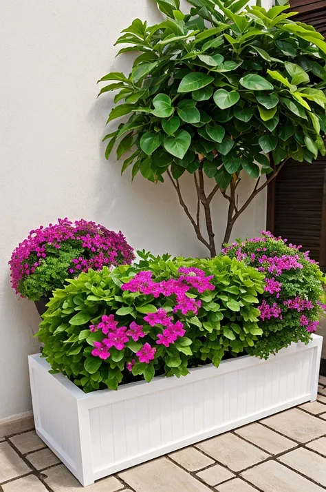 Create planter box which made by cemenet and fill inside with bougainvillea and frangipan white background