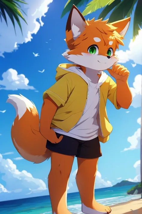 Furry,Fox,boy,8k resolution,最high resolution,                   high resolution,Seascape,In a hoodie,Green Eyes,summer