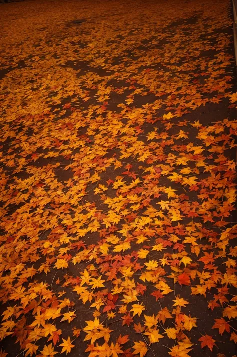 ground covered in autumn leaves looked from above