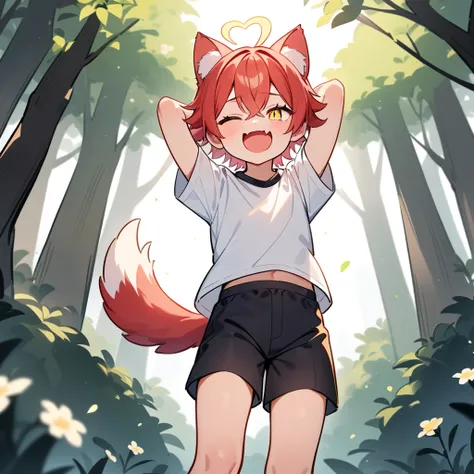 （masterpiece：1.2，high quality），4K，High resolution，A seven-year-old boy，cute boy， light red hair，short hair，crossed bangs，light yellow eyes，slit pupils，one eye closed，heart ahoge，yellow halo，cat ears，laughing，skin fang，Wearing a white shirt，Black shorts，Sta...